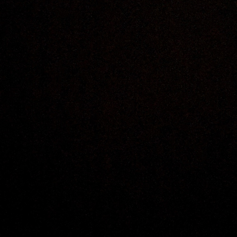 Meet your Posher, Isabelle